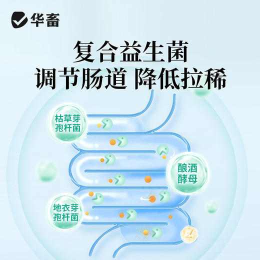 华畜强效生物脱霉剂兽用猪牛羊鸡鸭鹅饲料添加剂玉米脱霉净防拉稀 商品图4