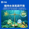 华畜藻类培养基小球藻专用培养基鱼塘水库水产养殖肥水调水培藻 商品缩略图5