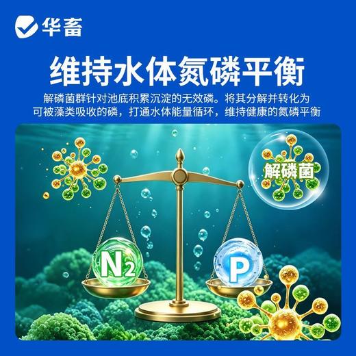 华畜藻类培养基小球藻专用培养基鱼塘水库水产养殖肥水调水培藻 商品图5