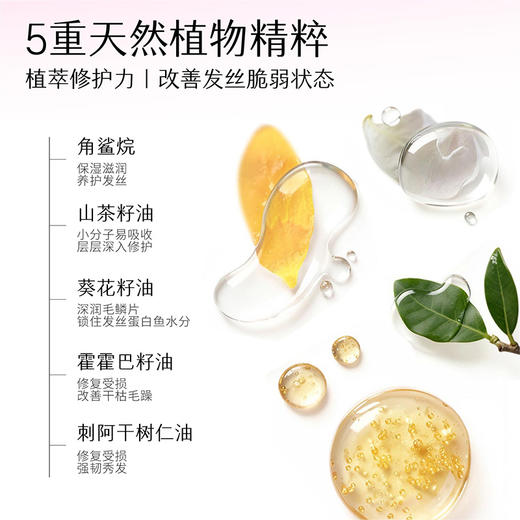 【官方直营】【修护防断发】【618抢先购】半亩花田强韧修护蛋白霜 发膜 修护干枯减断发矫正 商品图5