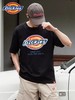 【Dickies 26春夏新款短袖T恤】经典大三色logo印花 男女情侣款 商品缩略图0
