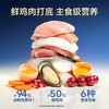 【新品】【100支彩虹猫条桶】 5种口味每天不重样 鲜肉配方 94%动物性原料 进口高纯度鱼油 商品缩略图2