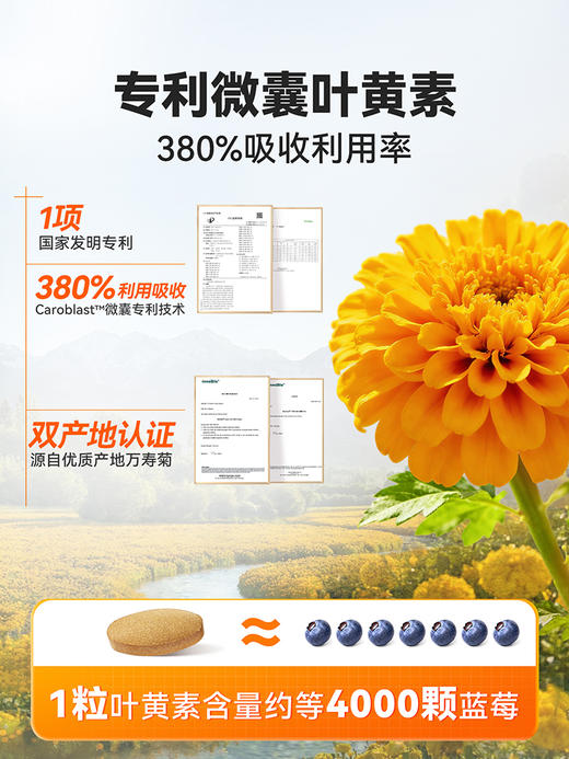 普安特晶视灵叶黄素片猫咪狗狗专用预防白内障改善中老年犬猫视力 商品图1