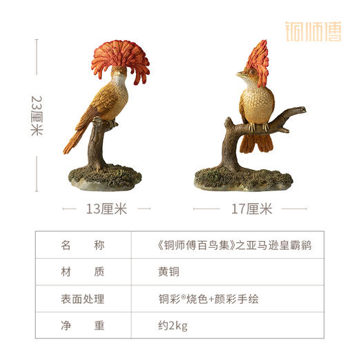 铜师傅 铜摆件《铜师傅百鸟集》之亚马逊皇霸鹟 商品图3