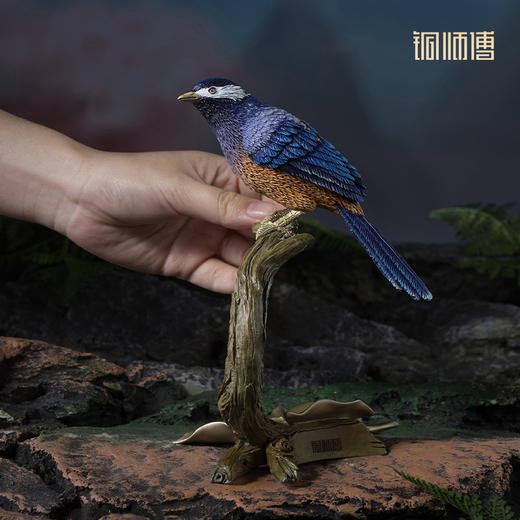 铜师傅《铜师傅百鸟集》之白耳奇鹛 客厅桌面铜鸟摆件 装饰品 商品图4