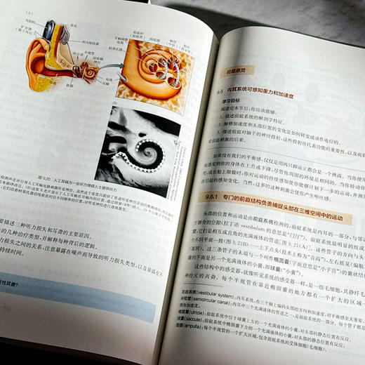 行为神经科学 第10版 马克.布里德洛夫 尼尔·沃森 人类科学研究 商品图12