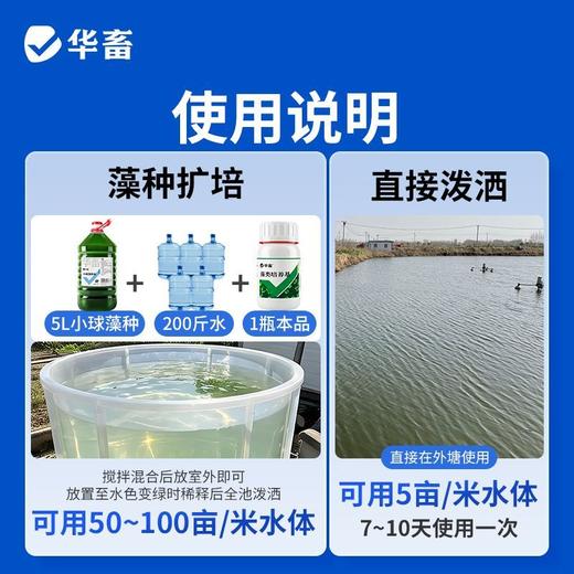 华畜藻类培养基小球藻专用培养基鱼塘水库水产养殖肥水调水培藻 商品图4