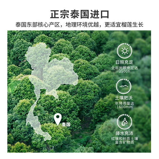 【金枕榴莲鲜果】市舶士 泰国进口金枕榴莲树熟鲜果 商品图4