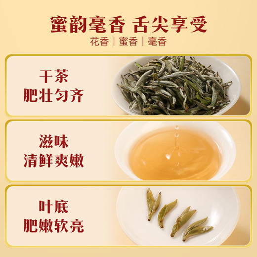 八马茶业｜四大茗著·福建白茶白毫银针120g 商品图1
