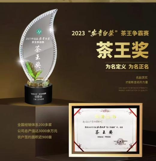 安吉白茶玉竹特级礼盒250g；25年茶原价498特价298！！！ 商品图5