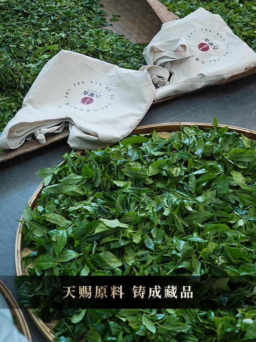 4月29日中午12点【神兽—白虎】2026年春茶超越纯料冰岛老寨的存在，神兽事业部独立出品高奢品牌，首发结束即封藏，限量50箱 拍5箱发6箱 商品图9