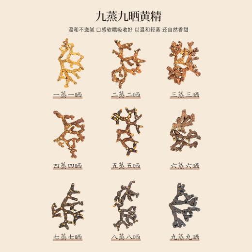 正安 九蒸九晒黄精抱枣【618】黑红双补面若桃花 润养精力气色佳 温和不上火 健康小零食下午茶点心 200g/盒 商品图6