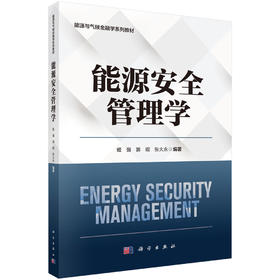 能源安全管理学