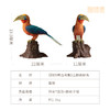 铜师傅 铜摆件《铜师傅百鸟集》之棕颈犀鸟 家居饰品 桌面摆件 商品缩略图5