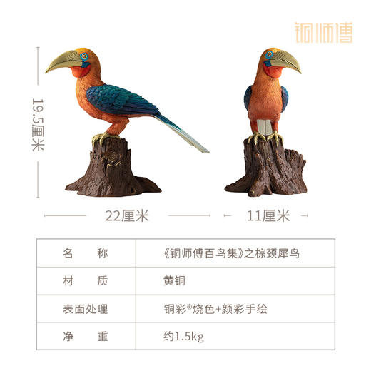 铜师傅 铜摆件《铜师傅百鸟集》之棕颈犀鸟 家居饰品 桌面摆件 商品图5