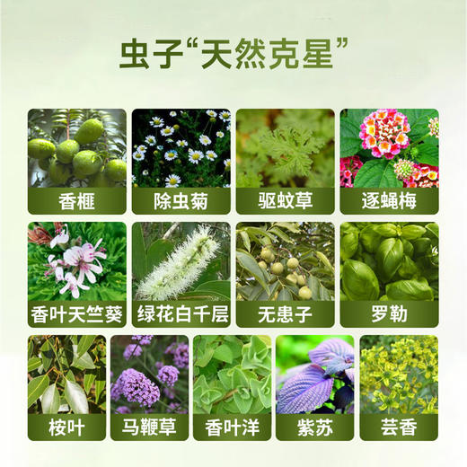 厨卫害虫“一窝端”！👉德国【NIXBUG下水道除虫剂】⭐99.99%除虫，一次根除顽固虫患 👍清除管道堵塞、异味 商品图3