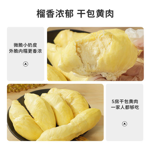 【金枕榴莲鲜果】市舶士 泰国进口金枕榴莲树熟鲜果 商品图1