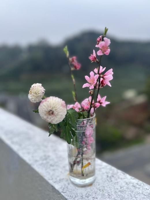 小儿脾胃 商品图3