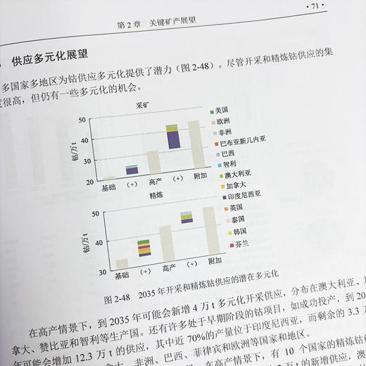 全球关键矿产展望2025 赵相宽 徐佳佳 王欢主 9787030840288 商品图5