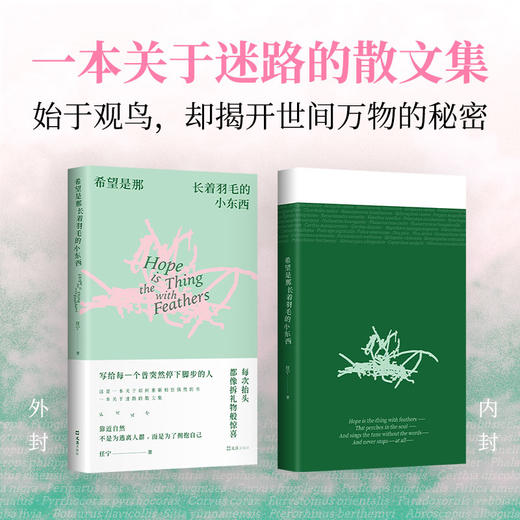 希望是那长着羽毛的小东西 商品图1