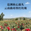 笙观墨红玫瑰 云南曲靖重瓣红玫瑰 鲜季采摘 冻干花冠 富含花青素 无熏硫染色 商品缩略图1