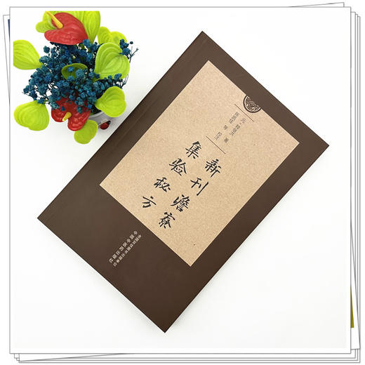 新刊澹寮集验秘方 (元) 释继洪 著 中国中医药出版社 商品图1