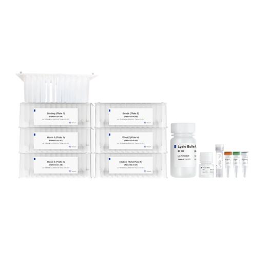 VAMNE Magnetic Universal Plant Total RNA Kit (Prepackaged) 商品图3
