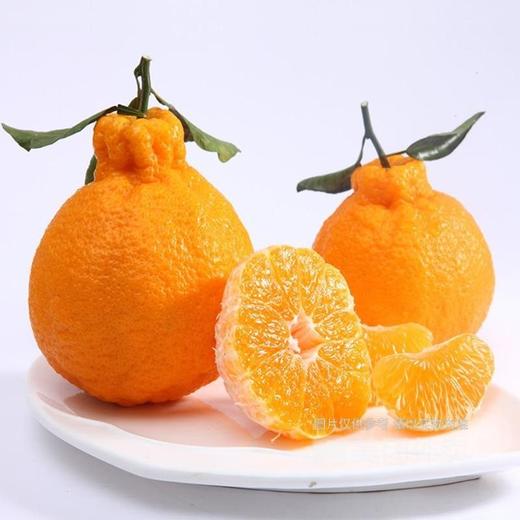 四川丹棱不知火（丑桔）（1000±100g） 商品图1