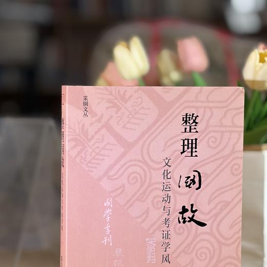 整理国故：文化运动与考证学风 商品图9