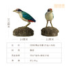 铜师傅 铜摆件《铜师傅百鸟集》之仙八色鸫 商品缩略图6