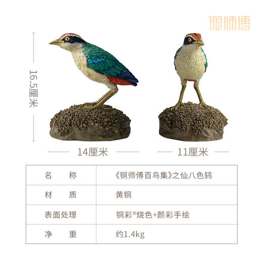 铜师傅 铜摆件《铜师傅百鸟集》之仙八色鸫 商品图6