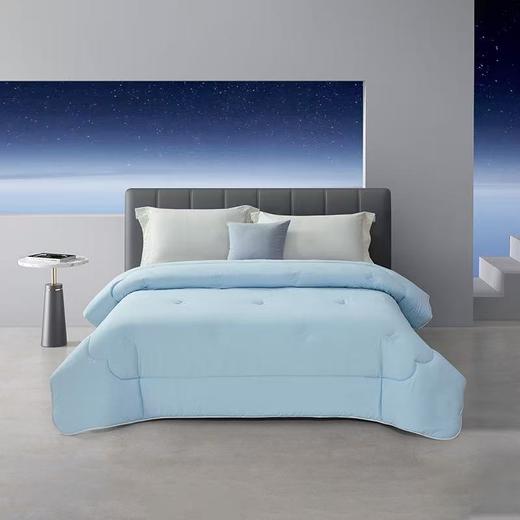 10楼罗莱全棉四件套 AD0552-4/灰色AD0528-4/绿色七孔彩云被 吊牌价880/980元+七孔彩云四季被吊牌价999元 尺寸200*230cm 组合活动价499元 商品图3