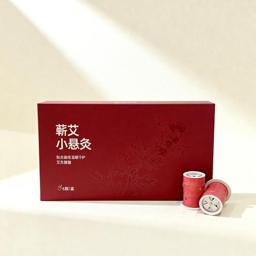 蕲艾小悬灸 商品图0
