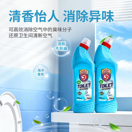 JACKYGUARD卫臣仕马桶凝胶清洁剂750ml 商品图1