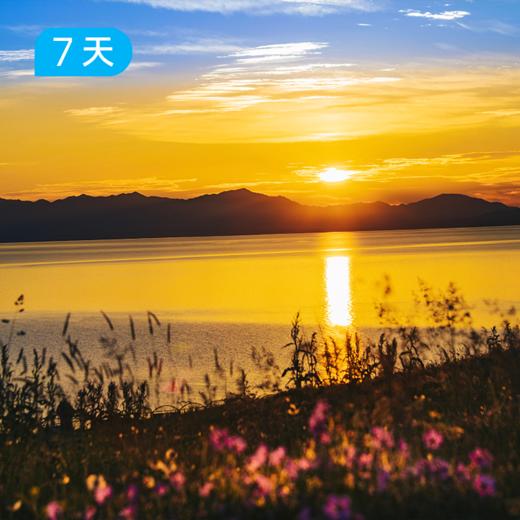 伊犁夏牧场·限定小车团｜伊犁精华小环线 避开人潮的“抢跑”视角 深度解码全境森林湖泊与游牧烟火 7日 商品图6
