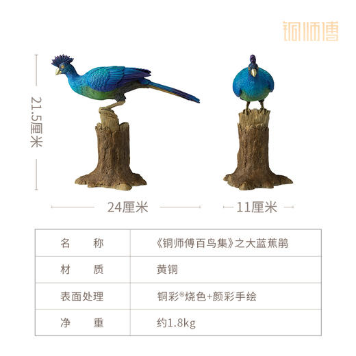 铜师傅 铜摆件《铜师傅百鸟集》之大蓝蕉鹃 铜工艺品 家居饰品摆件 商品图3