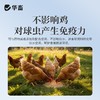 华畜兽药托曲珠利溶液球虫清兽用鸡鸭鹅家禽专用抗球虫药肠炎血便 商品缩略图2