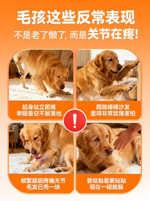 普安特舒节利软骨素狗狗猫咪用宠物关节髌骨养护骨修复软骨素补钙强化养护版 商品图1
