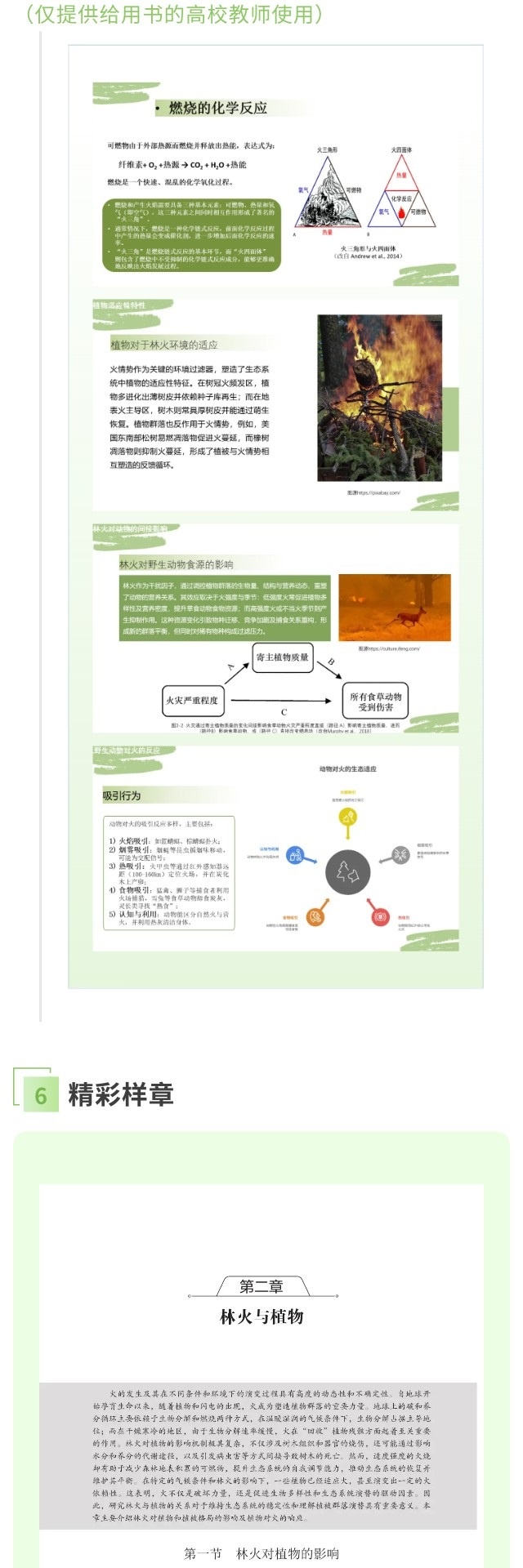 【详情页】9787030833365-林火生态与管理-郭福涛-5.jpg