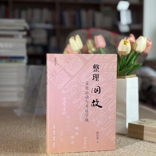 整理国故：文化运动与考证学风 商品图8