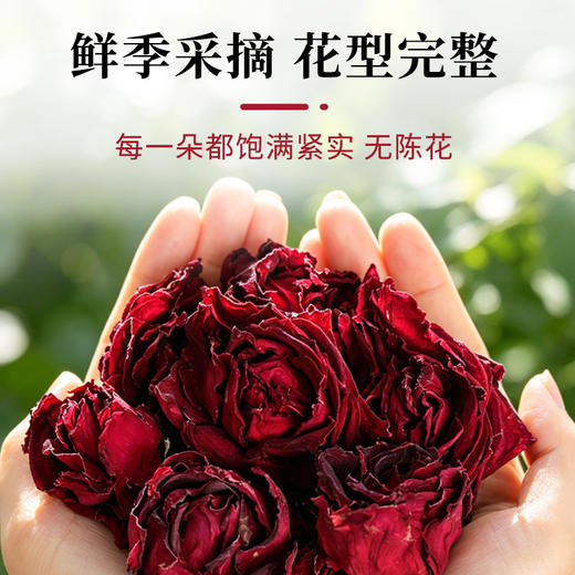 笙观墨红玫瑰 云南曲靖重瓣红玫瑰 鲜季采摘 冻干花冠 富含花青素 无熏硫染色 商品图2
