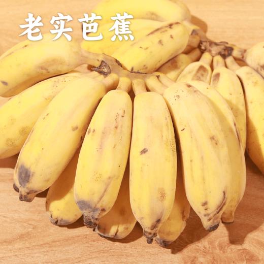 【同行精选】云南生态芭蕉 果皮薄 肉质香甜软糯 现摘现发（生鲜不易保存，下单后注意物流信息和电话，及时取件） 商品图0