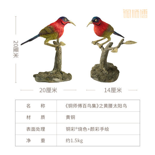 铜师傅 铜摆件《铜师傅百鸟集》之黄腰太阳鸟 商品图3