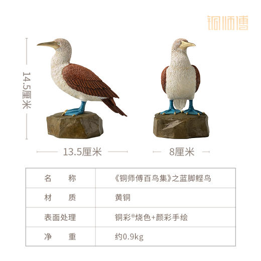铜师傅 铜摆件《铜师傅百鸟集》之蓝脚鲣鸟 家居饰品 桌面摆件 商品图5