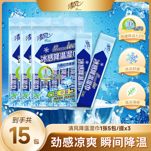【官方自营】清风运动降温湿巾5包/提*3提冰感清凉湿巾 商品图0