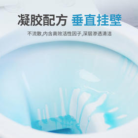 JACKYGUARD卫臣仕马桶凝胶清洁剂750ml