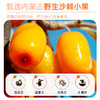 成分实验室NFC小果沙棘原浆不加一滴水210ml/盒 商品缩略图3