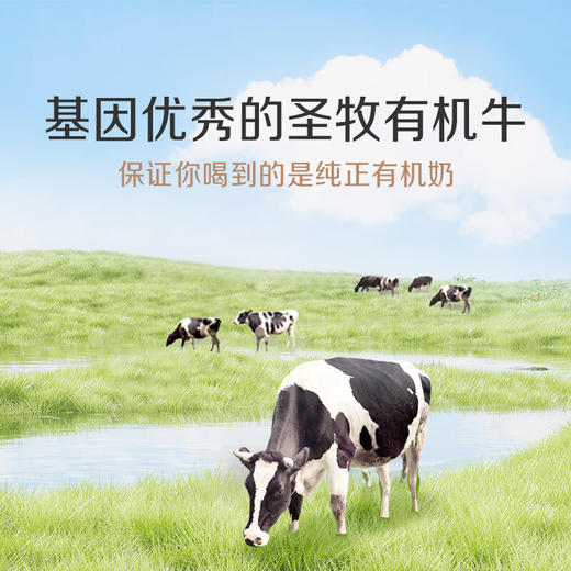 【特惠52.9】圣牧有机纯牛奶品醇全脂灭菌乳利乐苗条装200ml*12【保质期至2026/6/9】-专享价 商品图1