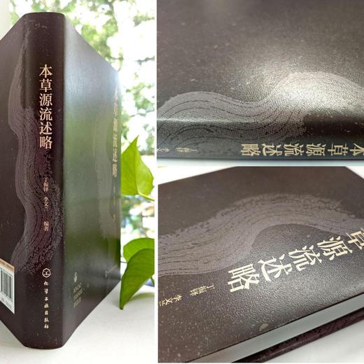 本草源流述略 商品图4