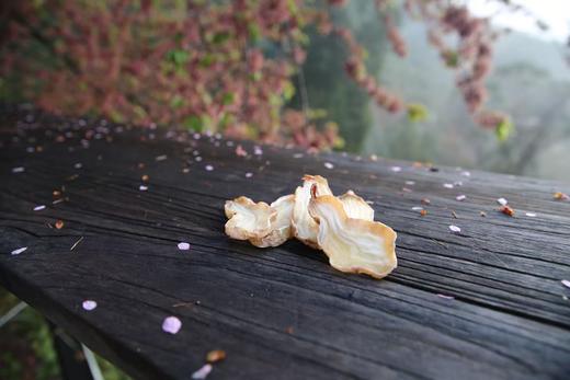生态乌天麻| 新鲜/干片，产地：云南昭通，收到后带泥保存，蒸，煎，炖，煮，炒，煲汤都可以。⭐️顺丰快递 商品图1